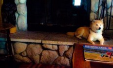 开云体育登录-山西队稳稳拿下公牛，米切尔全场最佳无争议