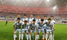 开云平台-江苏队主场击败浙江，跃升联赛积分榜的简单介绍