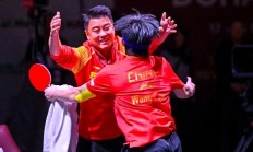 开云官方app入口-葡萄牙队翻盘日本队，王皓点燃赛场的简单介绍