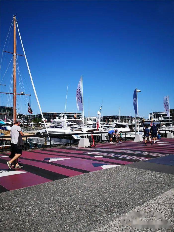 新西兰帆船选手获得冠军,成为焦点人物 新西兰帆船选手获得冠军,成为焦点人物