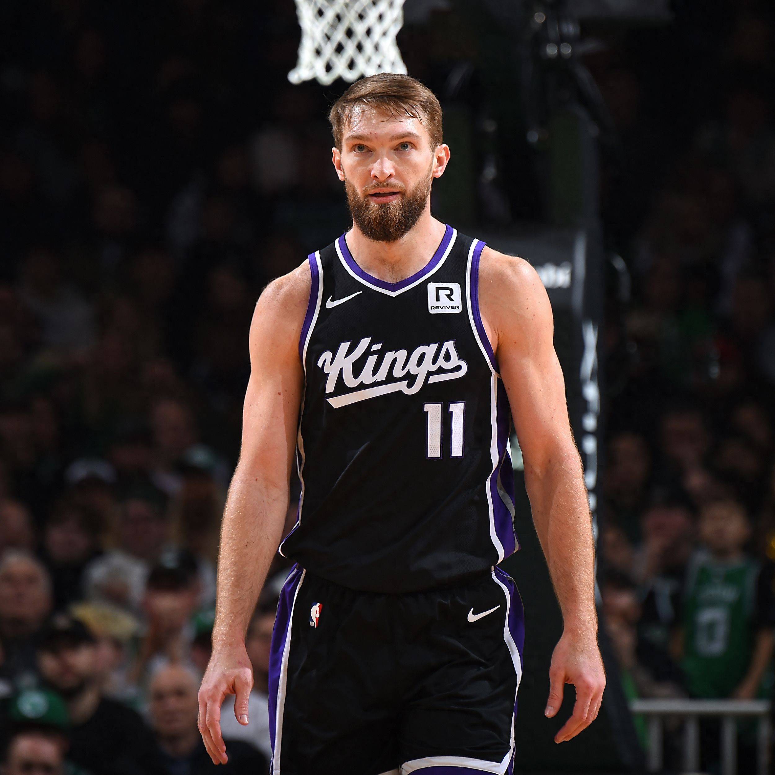 包含雄鹿击败国王，字母哥表现出色赢得欢呼的词条