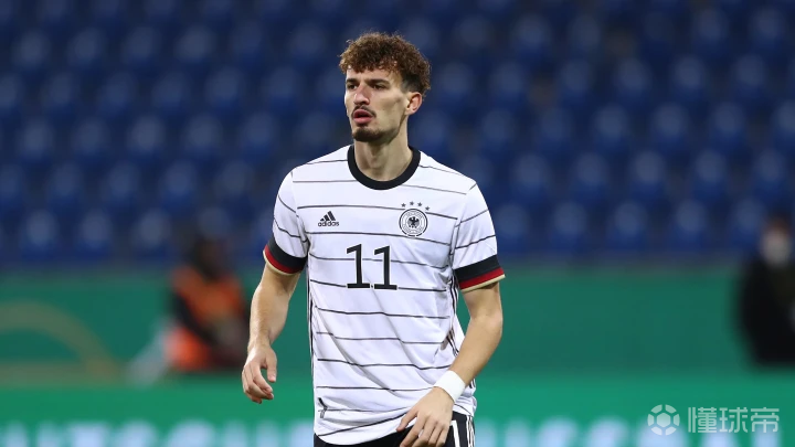 霍芬海姆签下意大利国脚,实力大增的简单介绍 霍芬海姆签下意大利国脚,实力大增的简单介绍