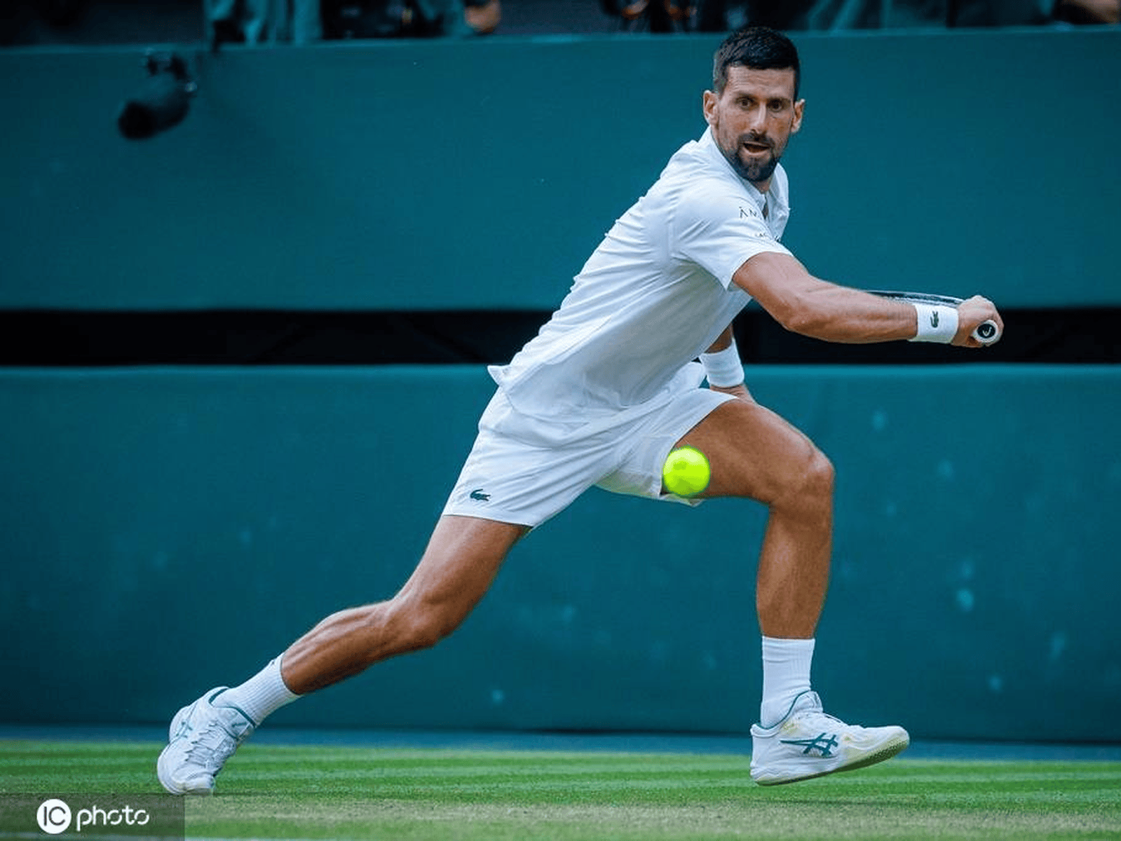 年终总决赛翻盘澳网，德约科维奇状态火热