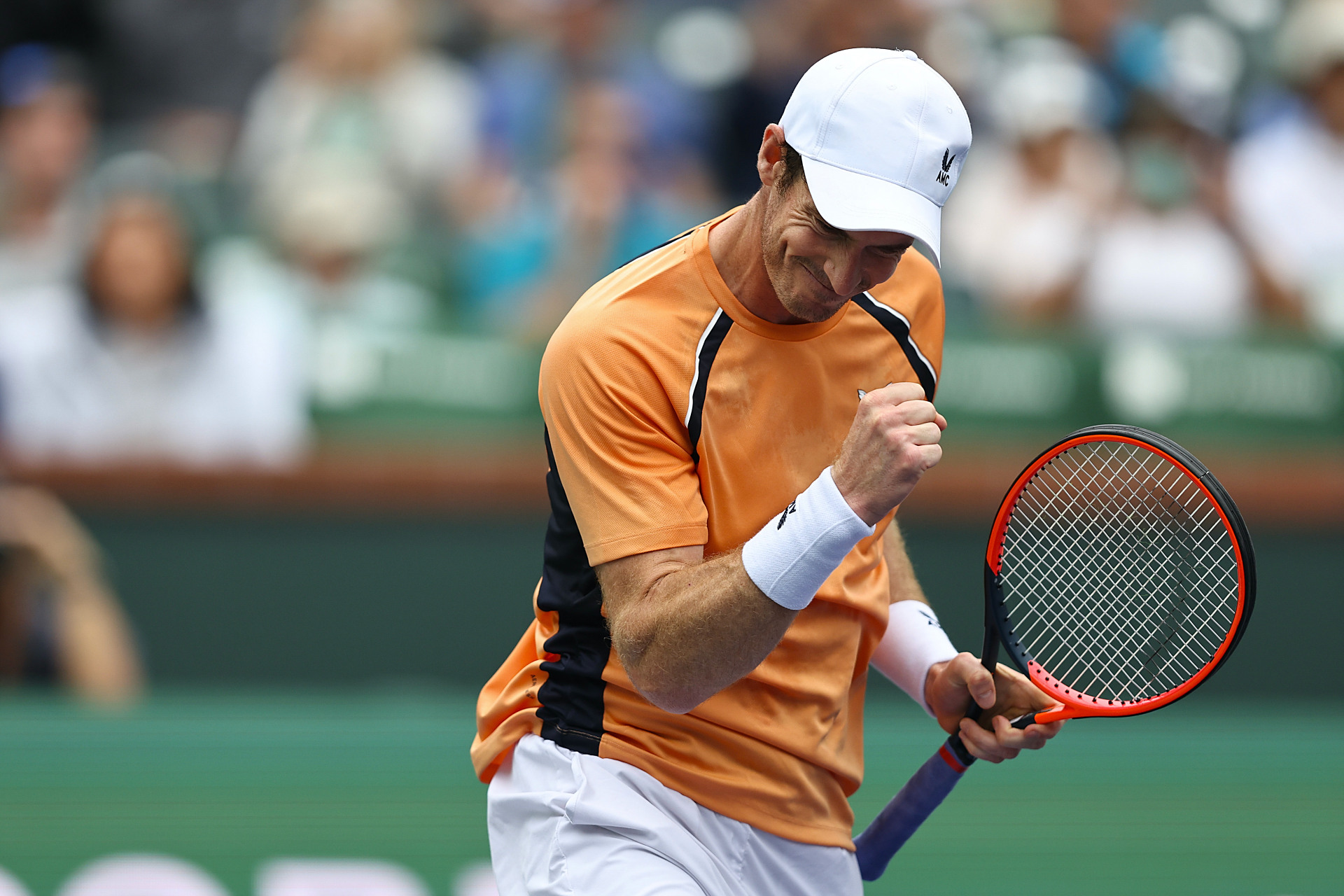 美国网球队强势澳大利亚网球队，穆雷绝境逆转的简单介绍