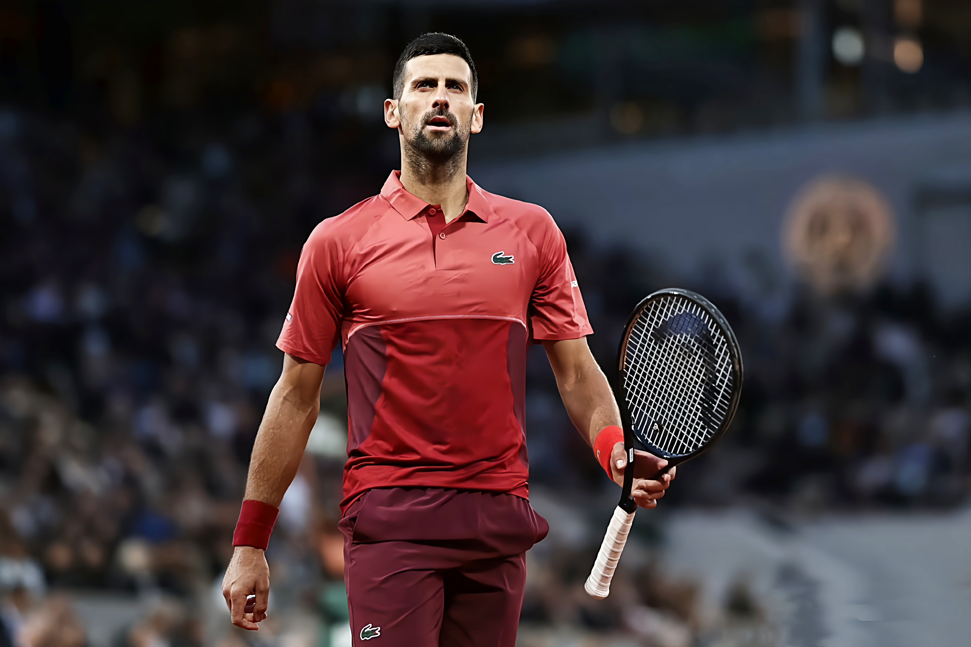 法网翻盘年终总决赛，德约科维奇关键制胜