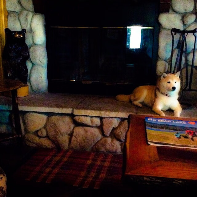 山西队稳稳拿下公牛，米切尔全场最佳无争议